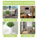 HTEEP 12Pcs artificial Boxwood shrubs, UV resistant and colorfast, outdoor artificial flowers, artificial farm greens, poplar stem false plants, gardens, offices - Image 5
