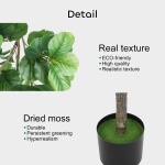 Growneer 6FT Artificial Fiddle Leaf Fig Tree with 98 Large Faux Fiddle Leaves, Dried Moss and Basket Fig Silk Tree Plants in Pot for Indoor Outdoor Divider, Home Office Decor - Image 4